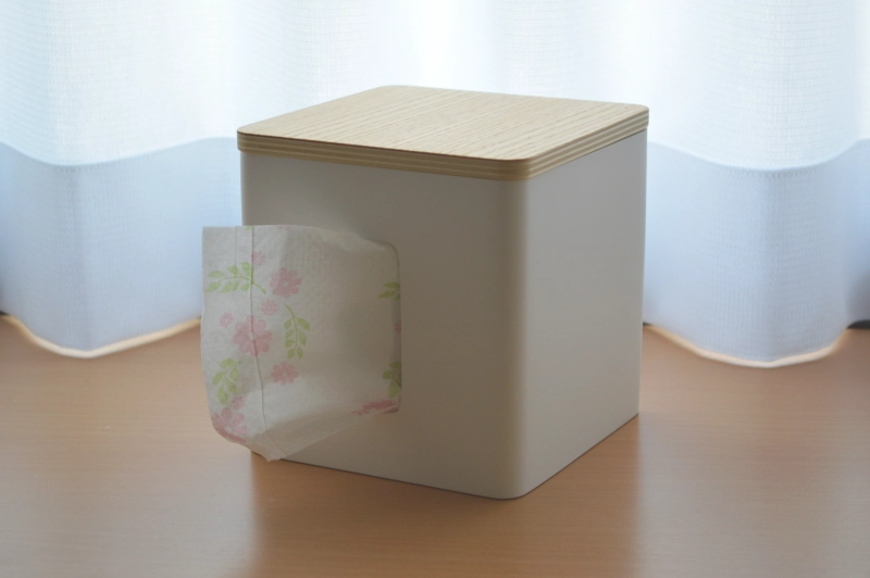 bought-toiletpaper-case-yamajitsu-00